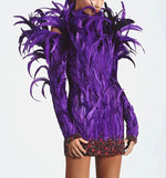 Detailed Faux Feathers Mini Dress